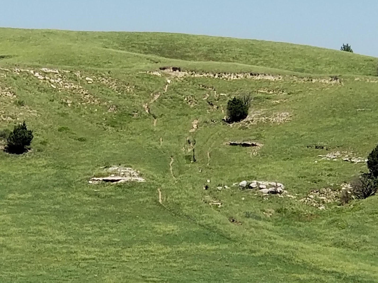 Wilderness Wanderings Oregon Trail Windlass Hill Ash Hollow
