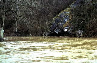 crue in 1995