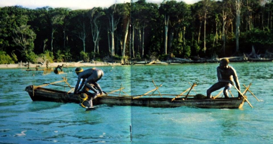 Everything We Know About The Isolated Sentinelese People Of North Sentinel Island