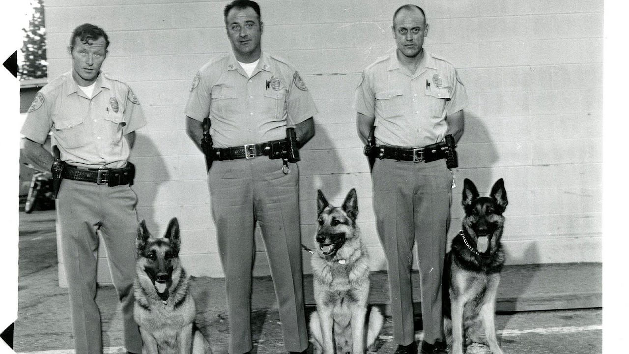 Animal Control South Lake Tahoe - Trip to Lake