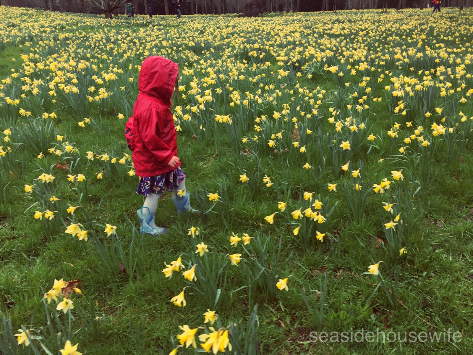 Seaside Retro Easter Egg Hunt at Petworth House
