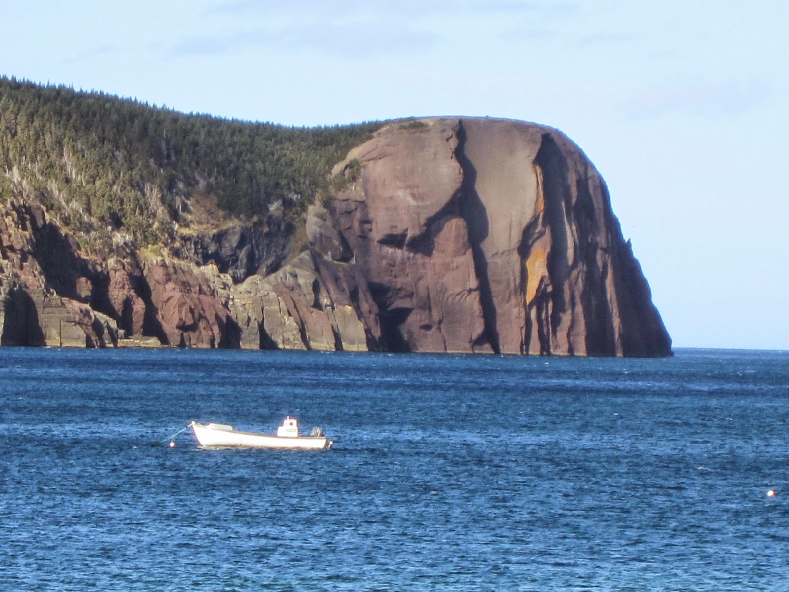 Rook's Nest Flatrock Newfoundland