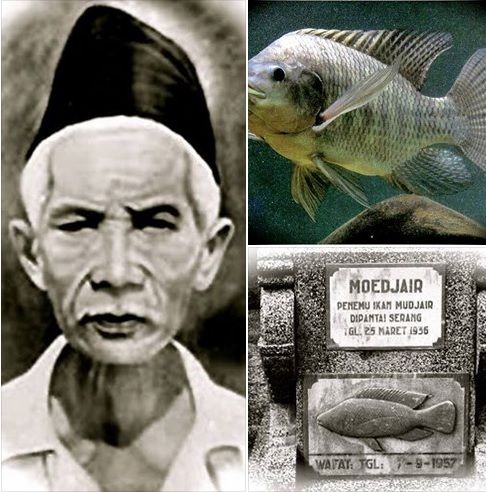 Mbah Moedjair, Penemu Ikan Mujair yang Rasa Enaknya Mendunia! | cerita