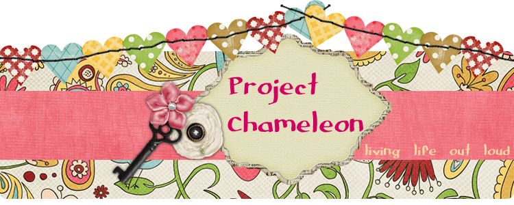 project.chameleon