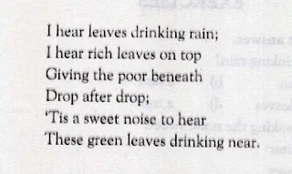 The Rain By W. H Davies Stanza 1