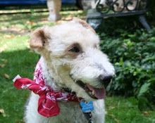 Twinsies Forever, Lenny