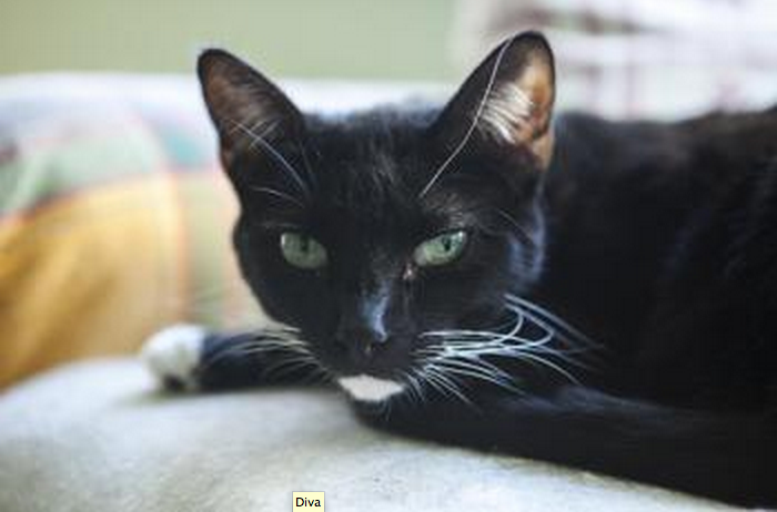 Kurz Knapp E Paper Login Die Glocke