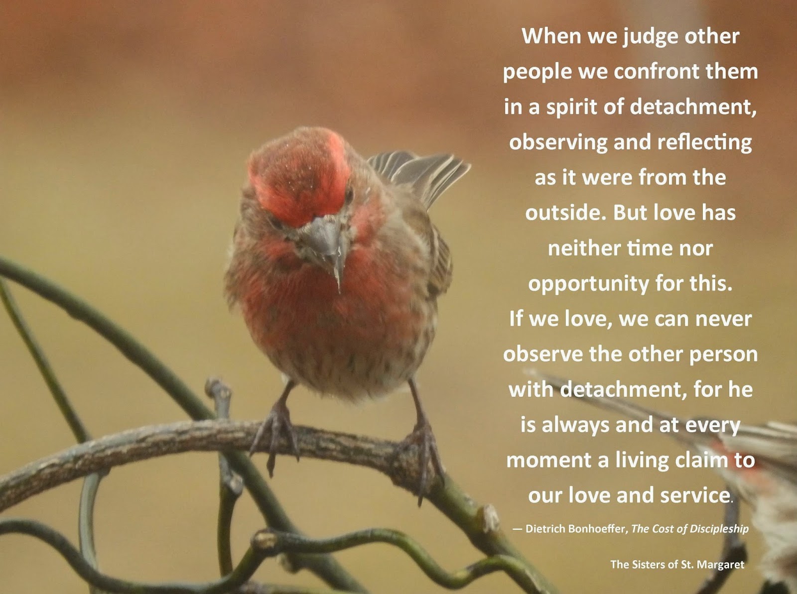 dating a judgemental person Why are some people overly critical and sarcastic that person needs to take a quick look at his past in order to find out why is all this hatred and anger. dating a judgemental person Why are some people overly critical and sarcastic that person needs to take a quick look at his past in order to find out why is all this hatred and anger.