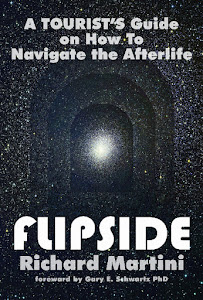 book: Flipside : Navigating the Afterlife by Richard Martini