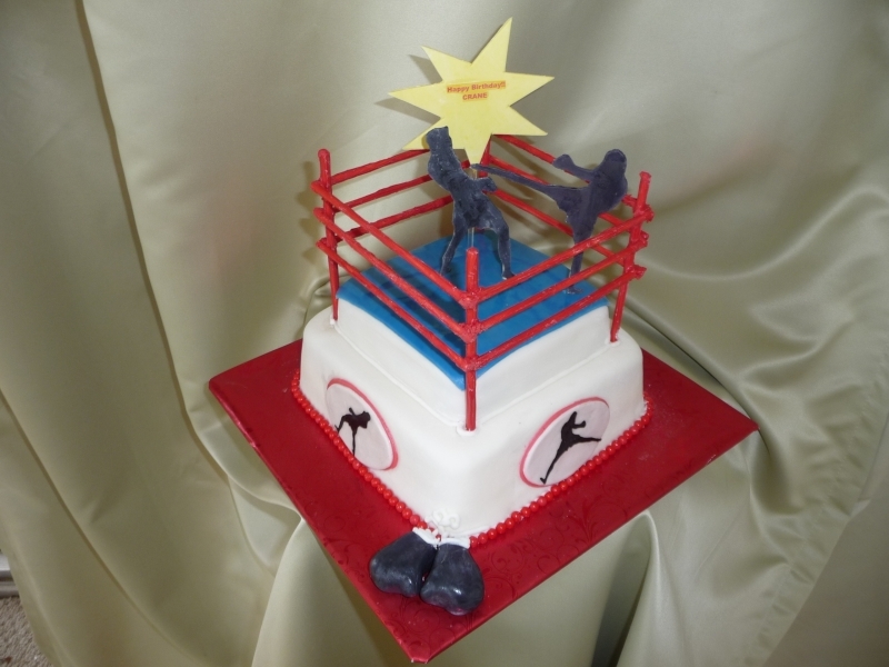 Icing On Top Cakes for Every Occasion Kickboxing Cake