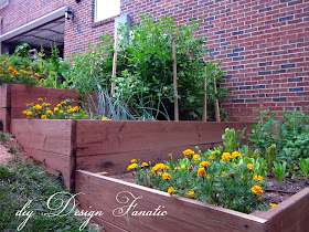 raised beds, raised beds on a slope, vegetable garden, building project, diyDesignFanatic.com, 