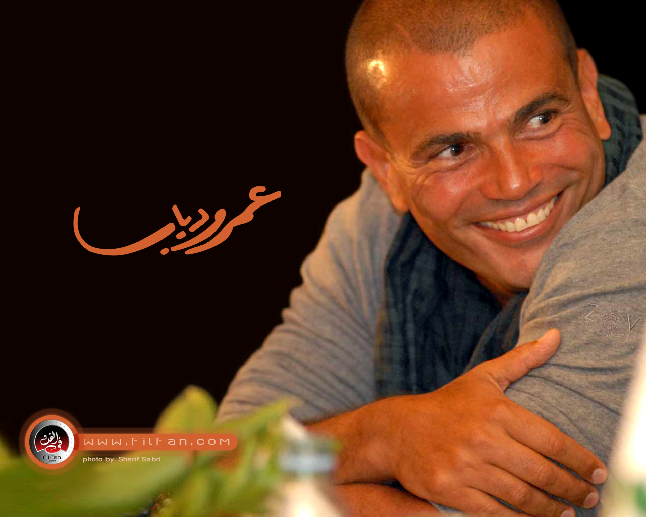 Celebrity Hollywood Web: Amr Diab Best Singer of All Time