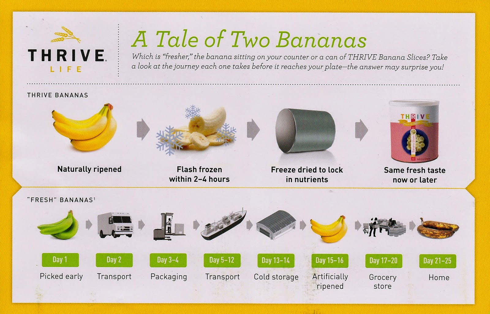 Ariana fletcher. лицо алкоголика до и после отказа. Take before. социальная реклама wwf. экологические проблемы с животными.