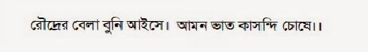 roudrer bela buni aishe - bengali proverb