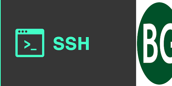 Pengertian Tentang SSH (Secure Shell) dan SSL (Secure Socket Layer)