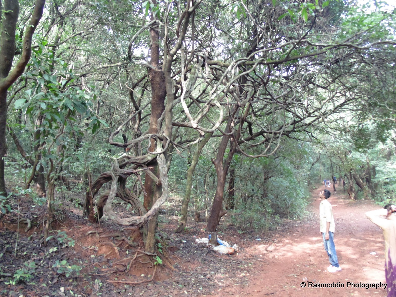 Matheran - A Picturesque Hill Station of Maharashtra