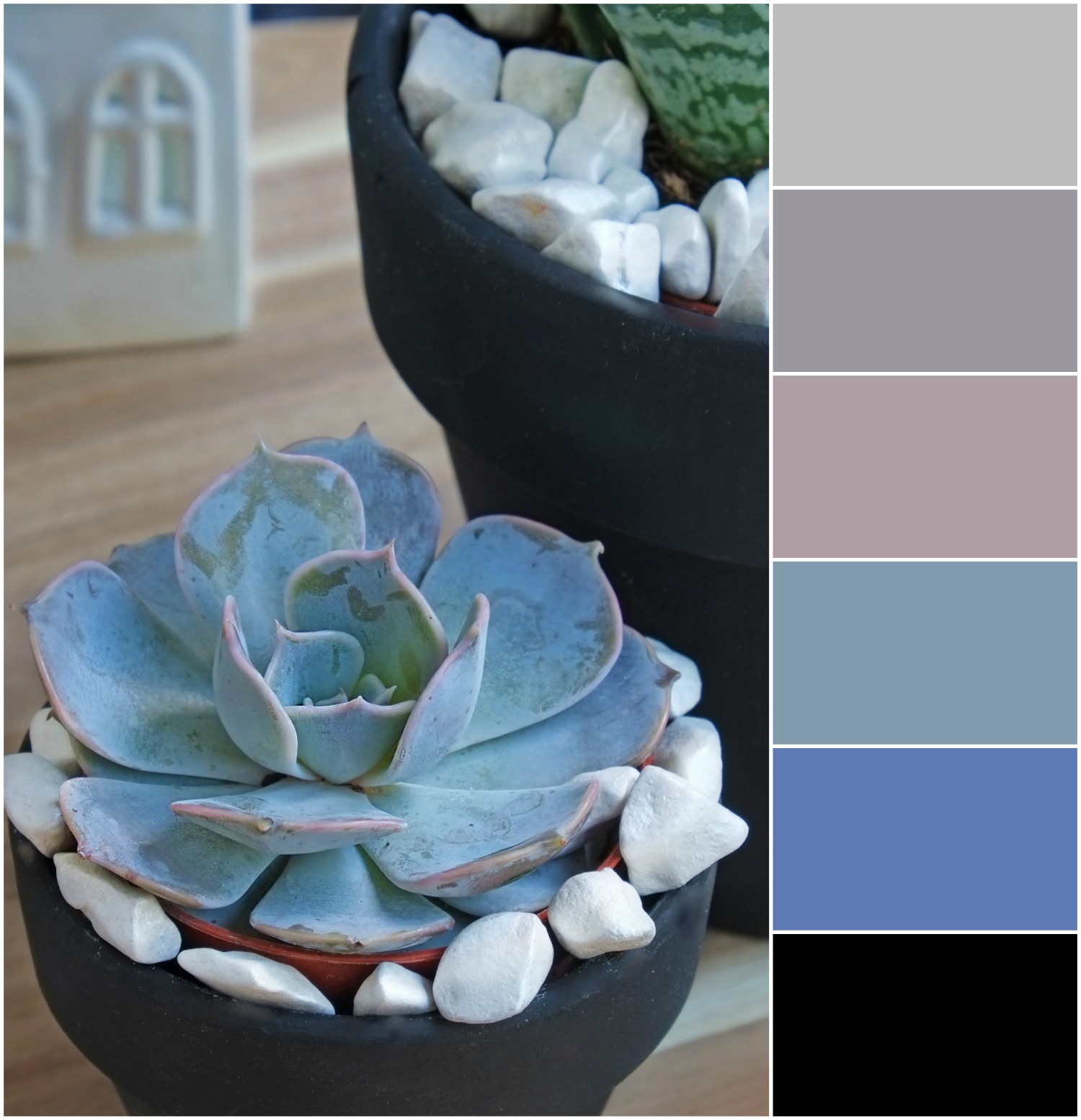 Kleurenpaletten, inspiratie met vetplant (interieur ideeën ...