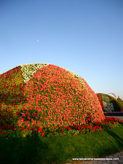 domes at Dubai Miracle Garden
