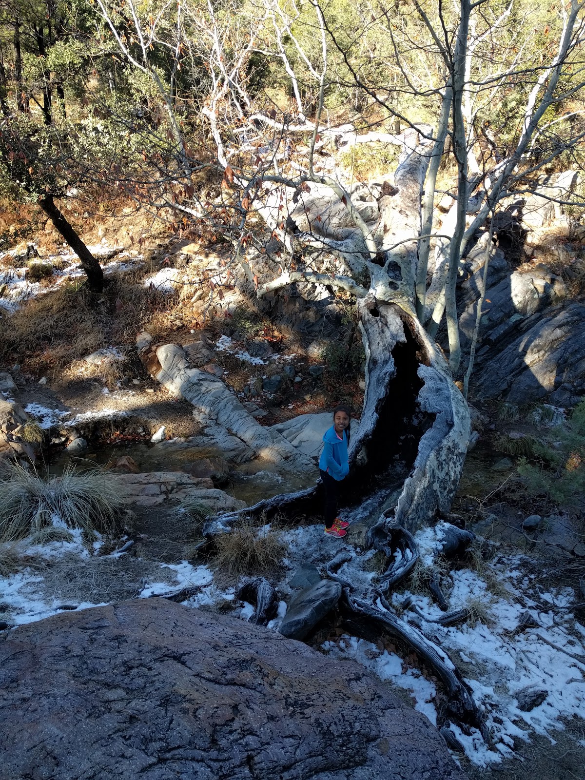 Hiking in Madera Canyon