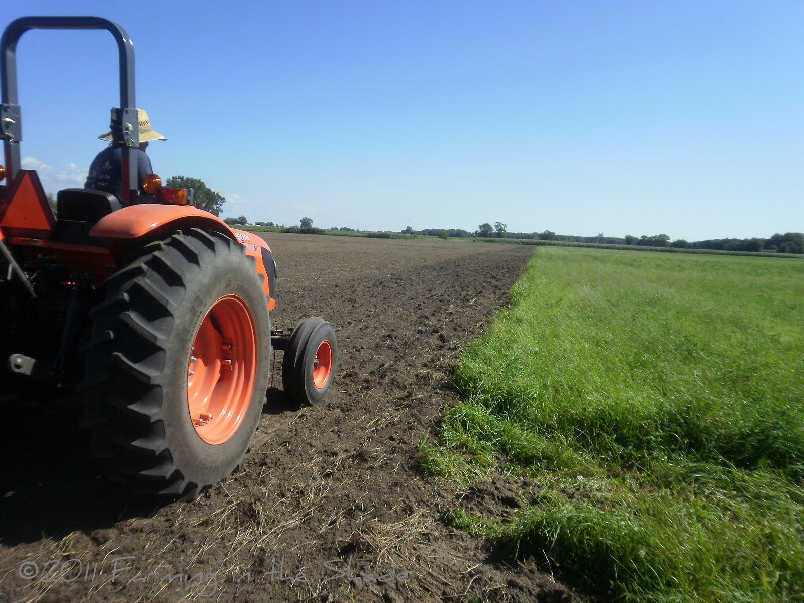 Planting a Hayfield
