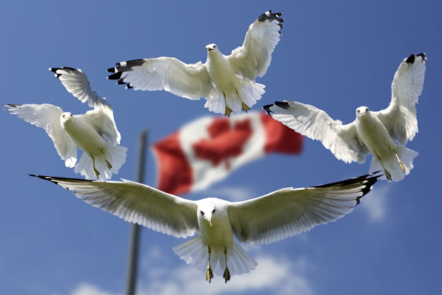 best places to visit in 2017 Canada Canada Flag