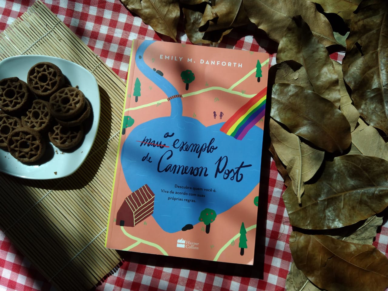 O MAU EXEMPLO DE CAMERON POST - EMILY M. DANFORTH RESENHA DE LIVRO: O MAU EXEMPLO DE CAMERON POST - EMILY M. DANFORTH