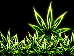 weed marijuana cannabis backgrounds neon wallpapers cool desktop 420 screensavers stoner pot smoke girly buds came place right graphics very