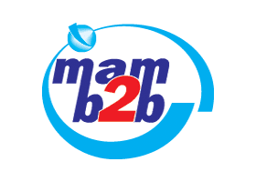 MAM B2B Is A Software Development Firm ::