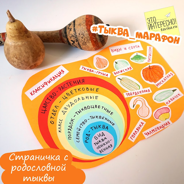 Книжка-пособие по ботанике для детей своими руками Детям о классификации растений