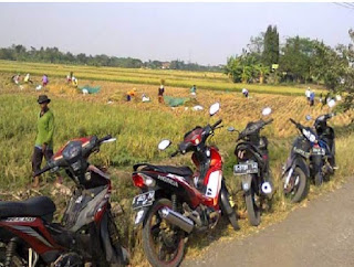 Kendaraan Milik Buruh Tani Raib Saat Diparkir Di Jalan Terusan