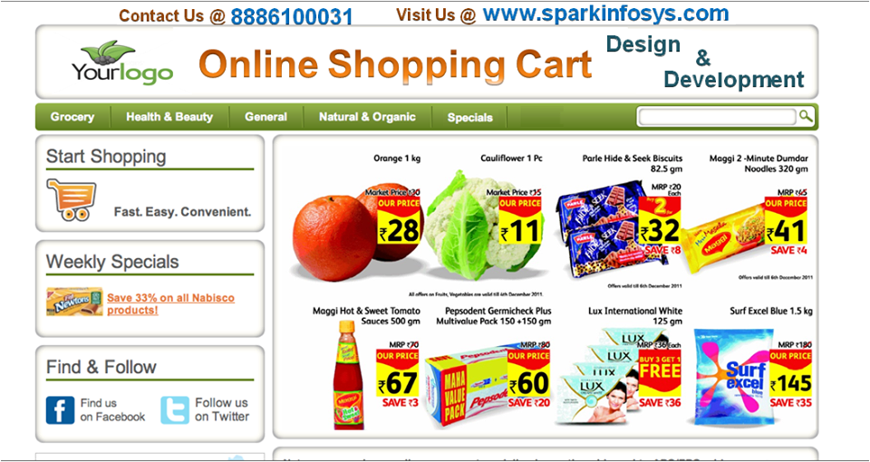 online shopping cart design, shopping cart development, shopping cart, ecommerce website development, custom website design, ecommerce website design company