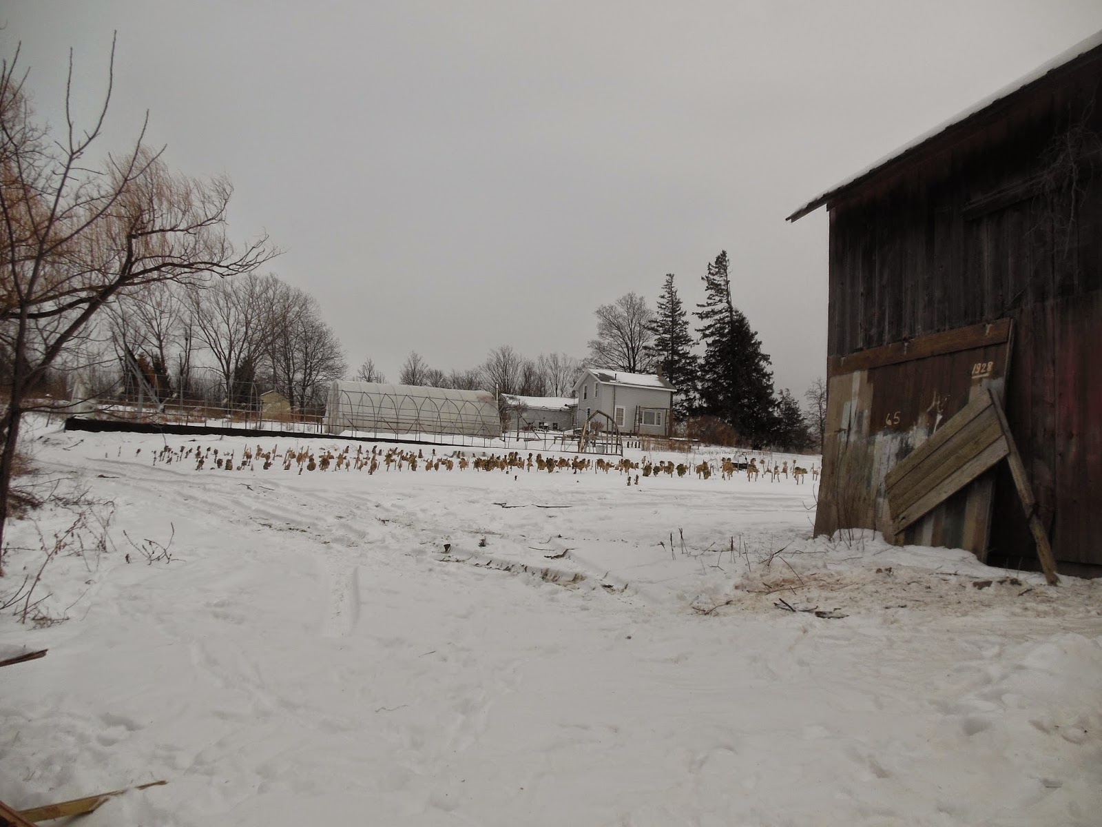 Muddy Fingers Farm Newsletter February 2015