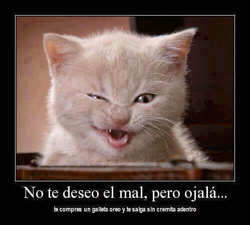 imagenes de animales tiernos con frases chistosas - animales tiernos con frases Imagenes Chistosas Para 