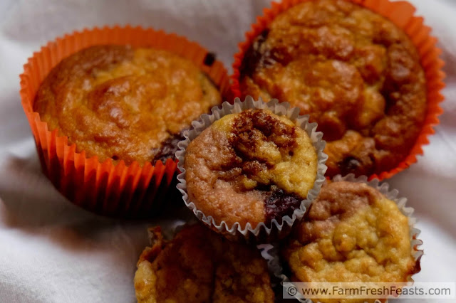 Recipe for a multicolored muffin swirled with mango, strawberry, raspberry and blueberry purees. This whole grain treat makes a large batch, great for bake sales and sharing.