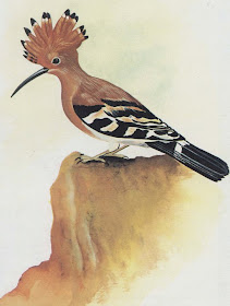 Ibnu Hasyim Sejarah Pasukan Gerak Cepat Hud Hud Benarkah Ia