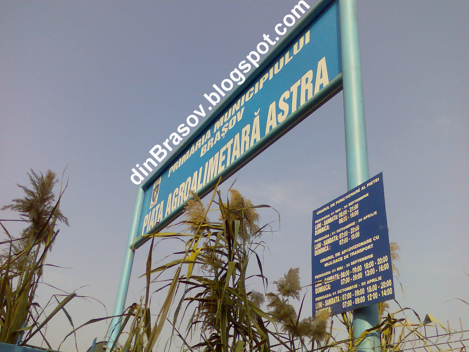 din Brasov Orarul de functionare al pietei agroalimentare Astra