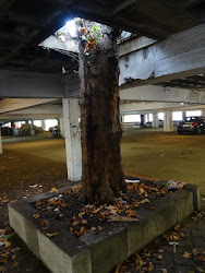 Parkplatz für einen Baum ZeitBild | Nr. 1