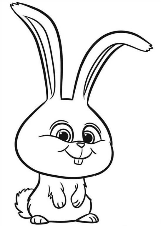 Coloring Pages For Kids Free Images The Secret Life Of Pets