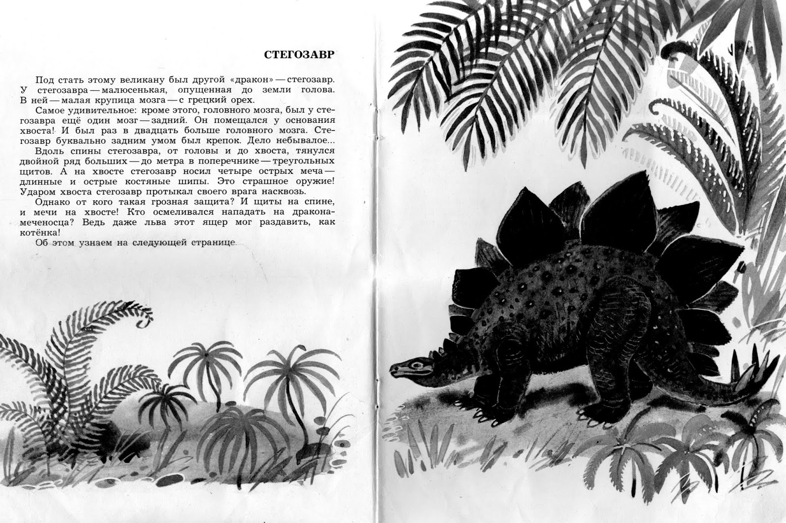 гигантский броненосец рисунок. акимушкин броненосцы. броненосец. акимушкин броненосцы. броненосец южной америки.