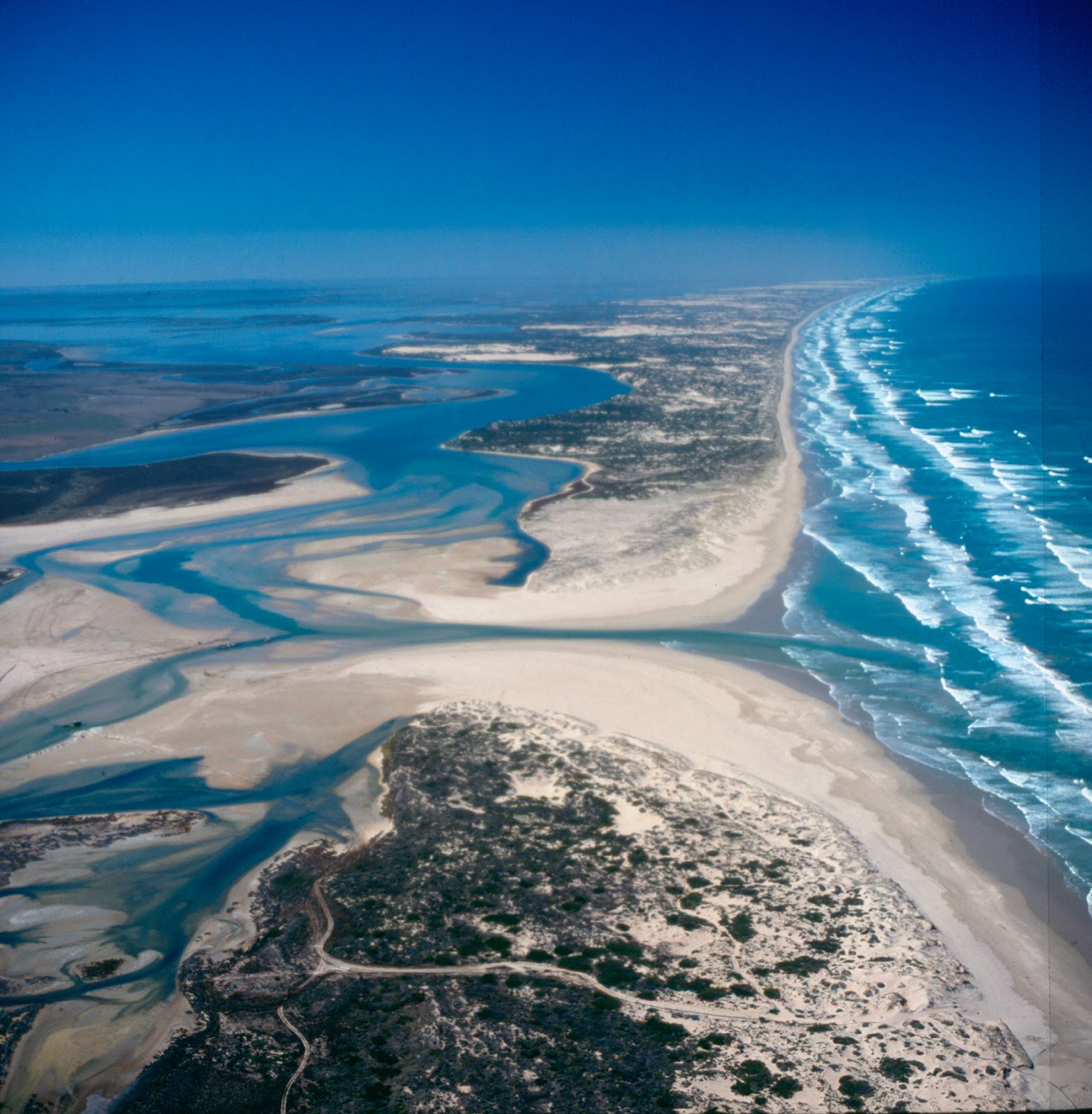 Река в океане 7. Муррей впадает в море. Река Дарлинг. Бассейн океана Муррей. Реки бассейна Тихого океана в Австралии.