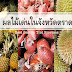 แนะนำ 11 สวนผลไม้เด่นในจังหวัดตราด ให้แวะลิ้มลองกันถึงไร่ เที่ยวไป ชิมไป อร่อยถูกใจเริ่ดเว่อร์จ้า