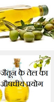 जैतून के तेल का औषधीय प्रयोग | Health Benefits of Olive Oil in Hindi