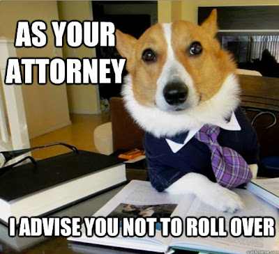 lawyer