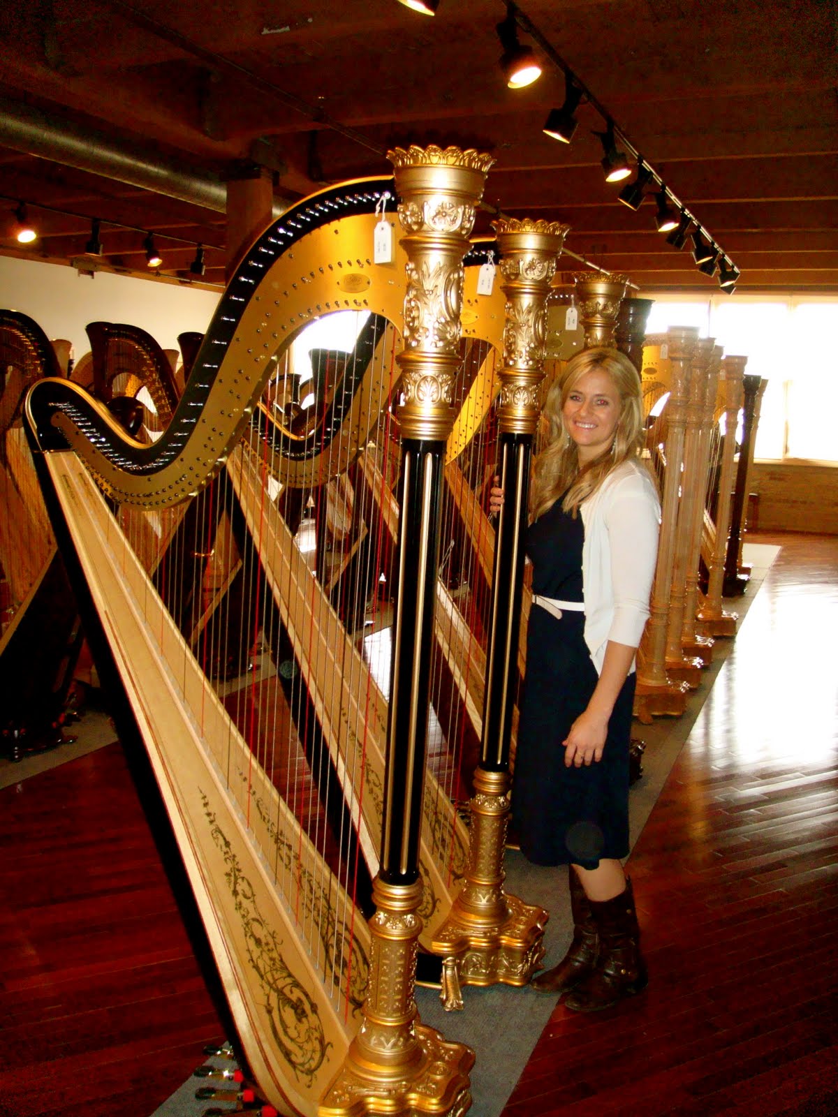 harp electric lyon healy harps yahooo could try