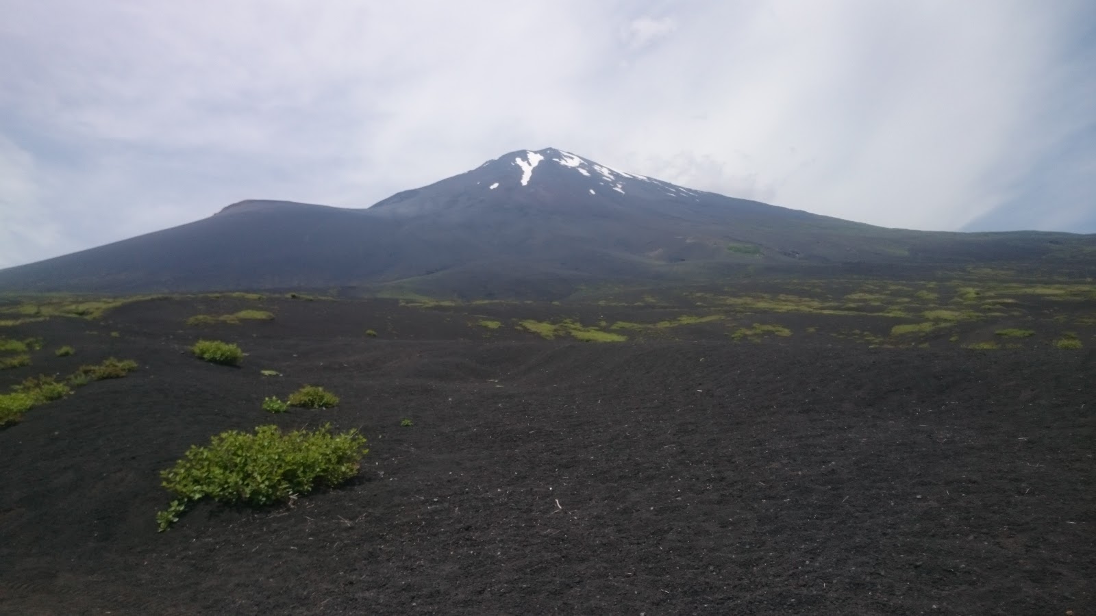 新世界で待っちょる 富士山植林ボランティアに行ってきた