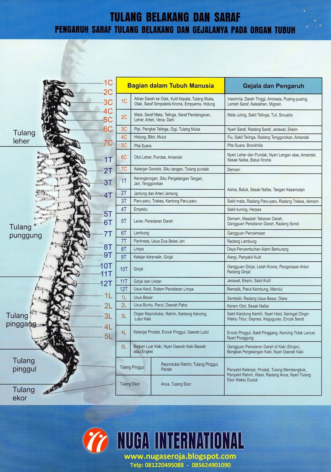 NUGA BEST Nm5000 Manfaat Alat terapi Nuga best nm5000