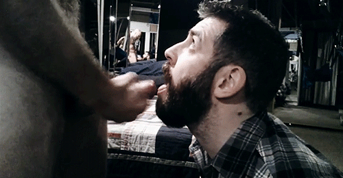 Image result for gay porn beard gif