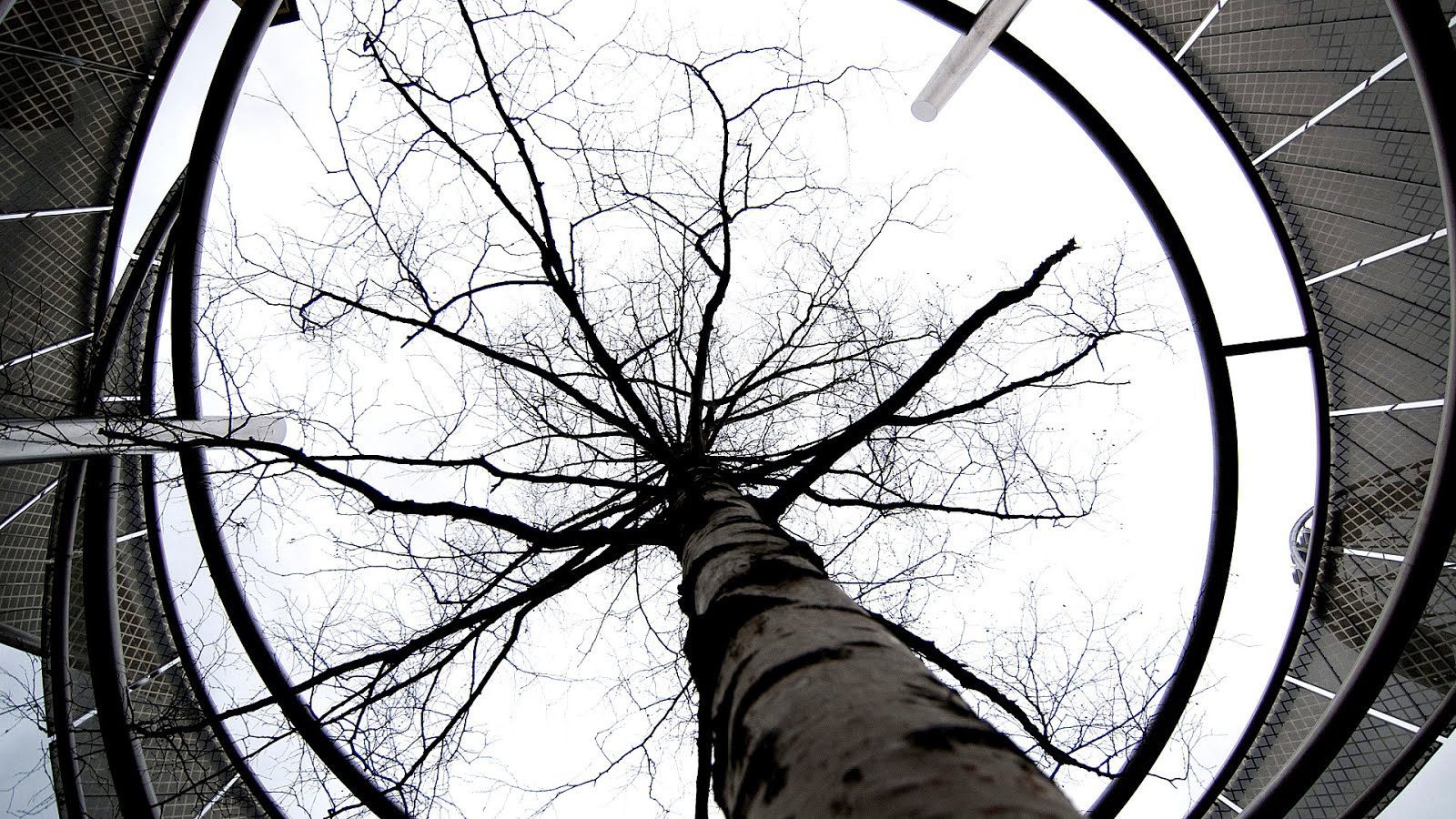 The Abstract photography - Photo Choices