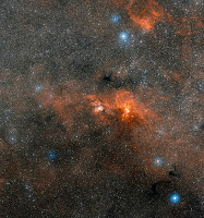 Star formation in the constellation of Carina