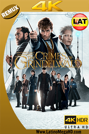 Animales Fantásticos: Los Crímenes de Grindelwald (2018) Latino Ultra HD BDRemux 2160P (2018)